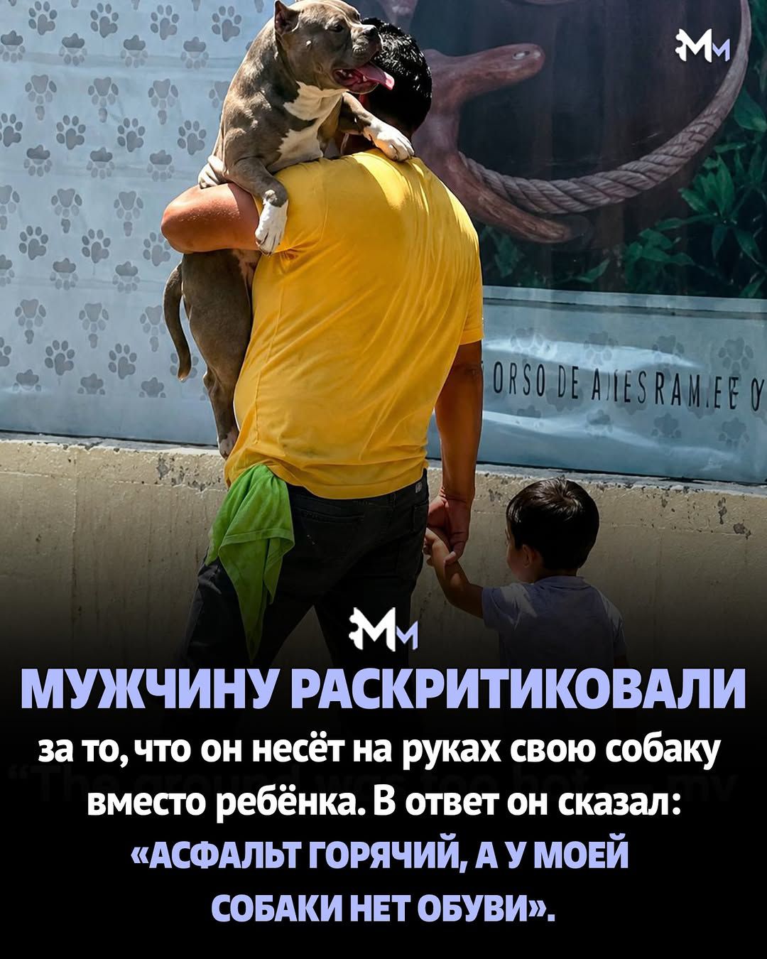 МУЖЧИНУ РАСКРИТИКОВАЛИ за то, что он несёт на руках свою собаку вместо ребёнка. В ответ он сказал: «АСФАЛЬТ ГОРЯЧИЙ, А У МОЕЙ СОБАКИ НЕТ ОБУВИ».