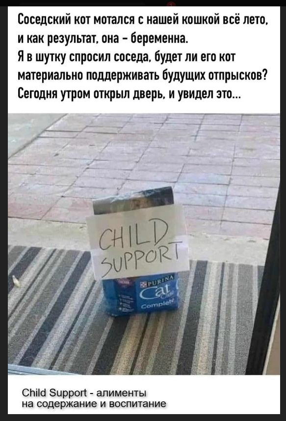 Соседский кот мотался с нашей кошкой всё лето, и как результат, она – беременна. Я в шутку спросил соседа, будет ли его кот материально поддерживать будущих отпрысков? Сегодня утром открыл дверь, и увидел это... CHILD SUPPORT Purina Cat Complete Child Support - алименты на содержание и воспитание