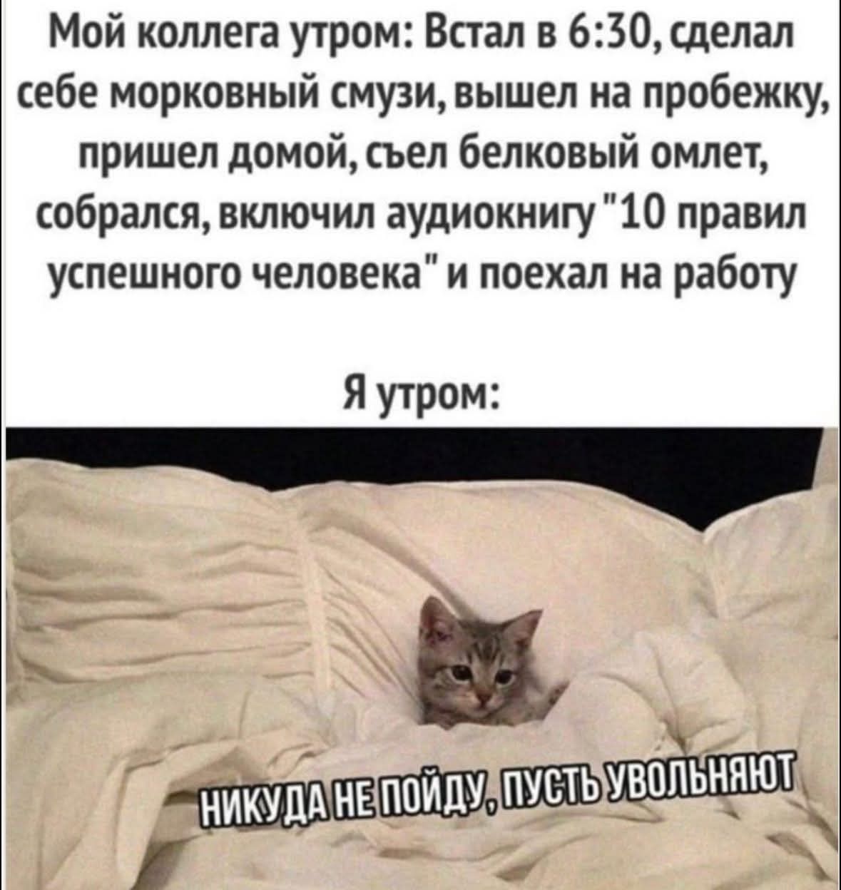 Мой коллега утром: Встал в 6:30, сделал себе морковный смузи, вышел на пробежку, пришел домой, съел белковый омлет, собрался, включил аудиокнигу 