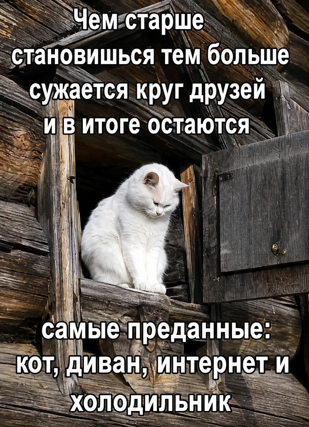 Чем старше становишься тем больше сужается круг друзей и в итоге остаются самые преданные: кот, диван, интернет и холодильник