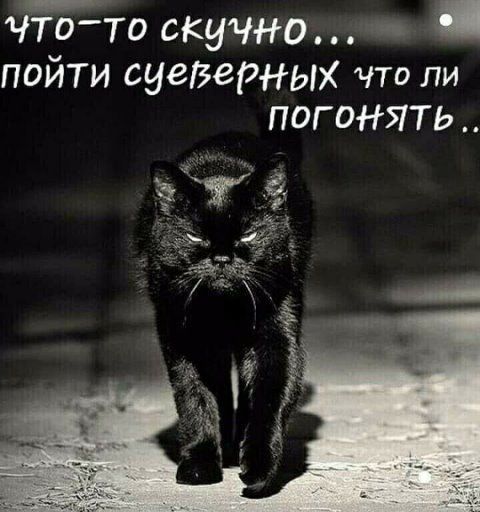 ЧТО-ТО СКУЧНО... ПОЙТИ СУЕВЕРНЫХ ЧТО ЛИ ПОГОНЯТЬ..