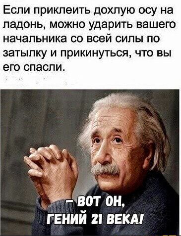 Если приклеить дохлую осу на ладонь, можно ударить вашего начальника со всей силы по затылку и прикинуться, что вы его спасли. — ВОТ ОН, ГЕНИЙ 21 ВЕКА!