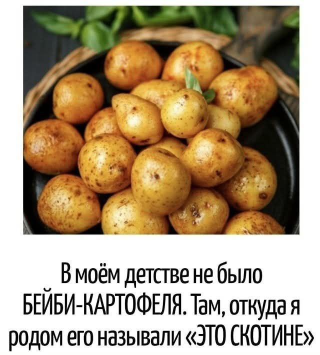 В моём детстве не было БЕЙБИ-КАРТОФЕЛЯ. Там, откуда я родом его называли «ЭТО СКОТИНЕ»