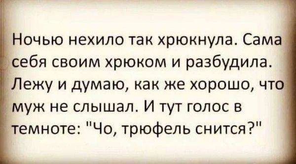 Ночью нехило так хрюкнула. Сама себя своим хрюком и разбудила. Лежу и думаю, как же хорошо, что муж не слышал. И тут голос в темноте: 