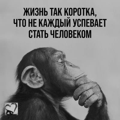 ЖИЗНЬ ТАК КОРОТКА, ЧТО НЕ КАЖДЫЙ УСПЕВАЕТ СТАТЬ ЧЕЛОВЕКОМ