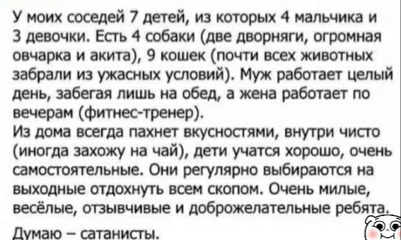 У моих соседей 7 детей, из которых 4 мальчика и 3 девочки. Есть 4 собаки (две дворняги, огромная овчарка и акита), 9 кошек (почти всех животных забрали из ужасных условий). Муж работает целый день, забегая лишь на обед, а жена работает по вечерам (фитнес-тренер). Из дома всегда пахнет вкусностями, внутри чисто (иногда захожу на чай), дети учатся хо