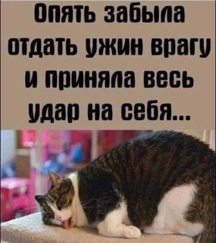 Опять забыла отдать ужин врагу и приняла весь удар на себя...