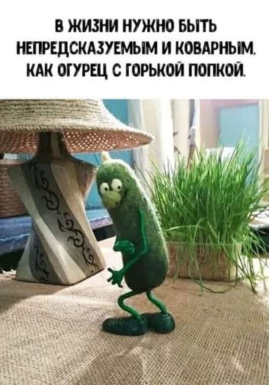 В ЖИЗНИ НУЖНО БЫТЬ НЕПРЕДСКАЗУЕМЫМ И КОВАРНЫМ, КАК ОГУРЕЦ С ГОРЬКОЙ ПОПКОЙ.