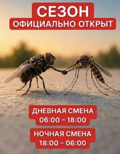 СЕЗОН ОФИЦИАЛЬНО ОТКРЫТ ДНЕВНАЯ СМЕНА 06:00 – 18:00 НОЧНАЯ СМЕНА 18:00 – 06:00