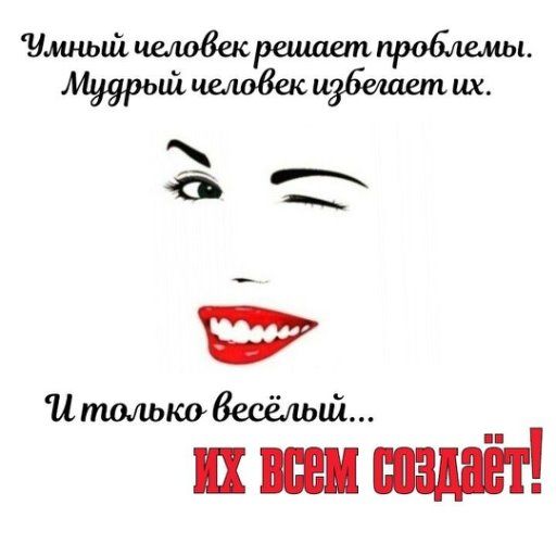 Умный человек решает проблемы. Мудрый человек избегает их. И только весёлый... ИХ ВСЕМ СОЗДАЁТ!