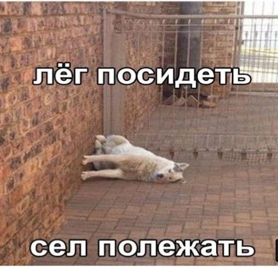 лёг посидеть сел полежать