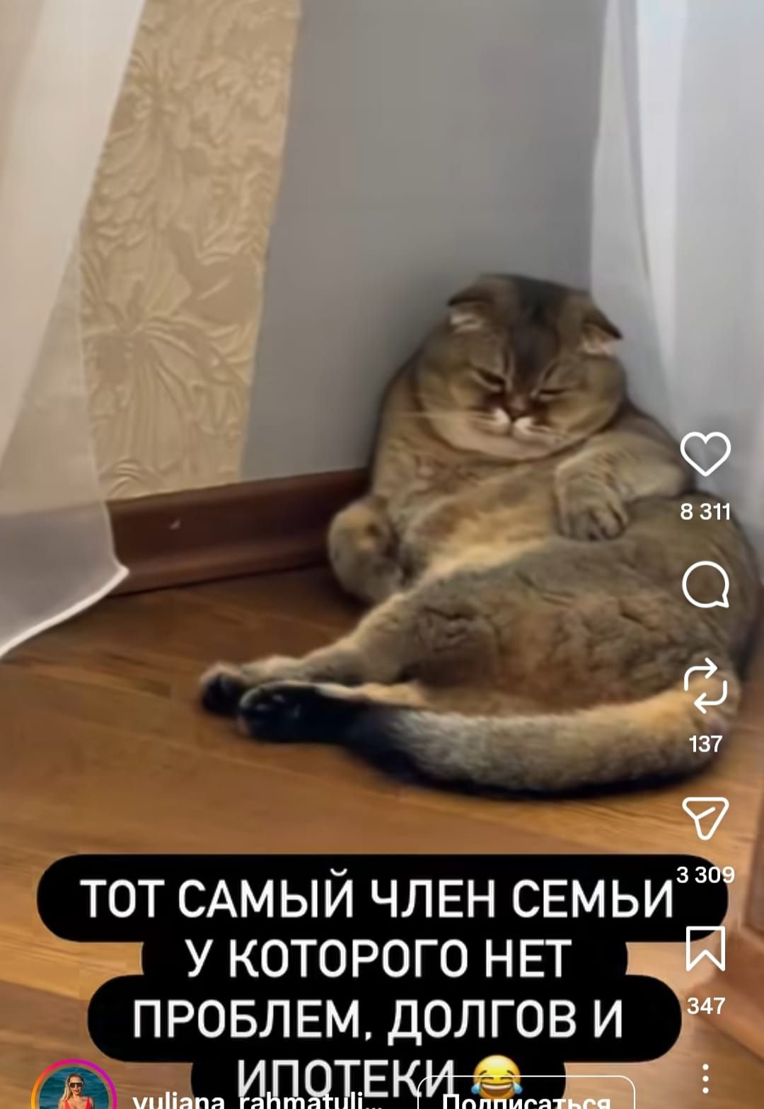 ТОТ САМЫЙ ЧЛЕН СЕМЬИ У КОТОРОГО НЕТ ПРОБЛЕМ, ДОЛГОВ И ИПОТЕКИ