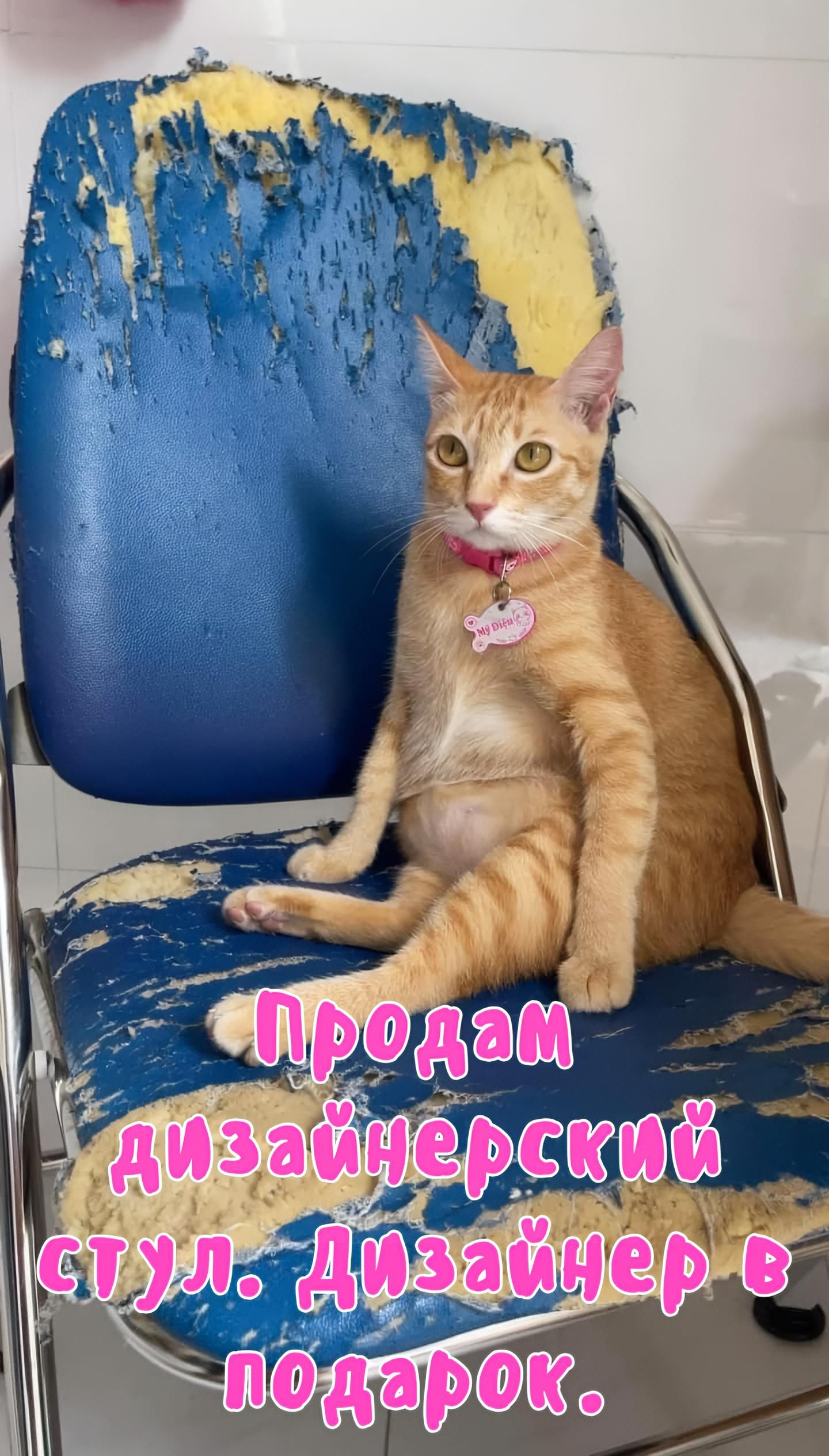 Продам дизайнерский стул. Дизайнер в подарок.