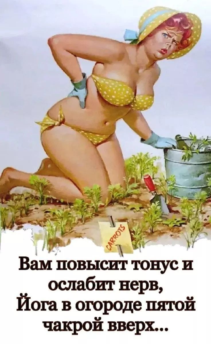 CARROTS Вам повысит тонус и ослабит нерв, Йога в огороде пятой чакрой вверх...