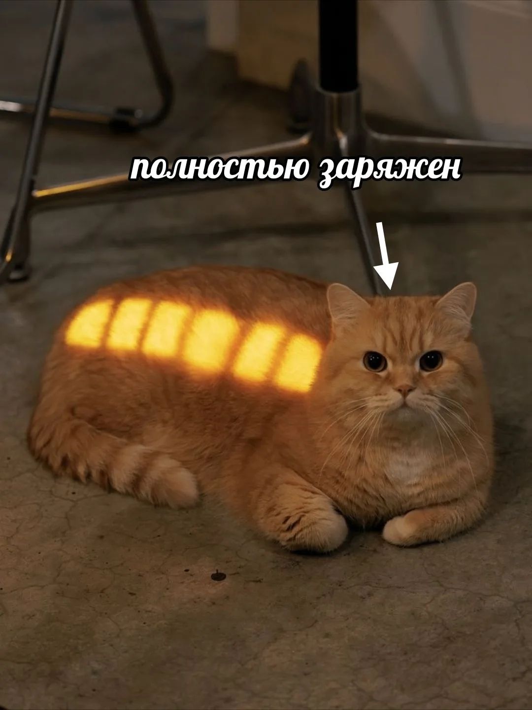 полностью заряжен
