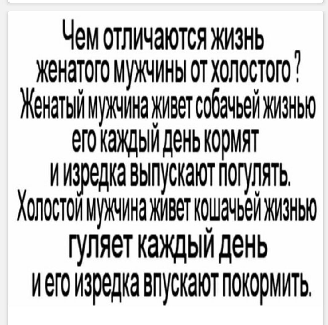 Чем отличаются жизнь женатого мужчины от холостого? Женатый мужчина живет собачьей жизнью: его каждый день кормят и изредка выпускают погулять. Холостой мужчина живет кошачьей жизнью: гуляет каждый день и его изредка впускают покормить.