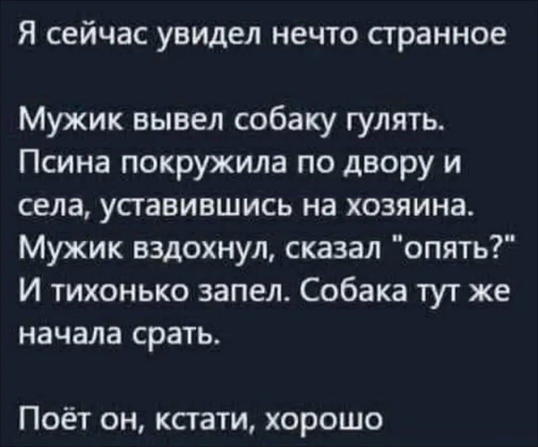 Я сейчас увидел нечто странное. Мужик вывел собаку гулять. Псина покружила по двору и села, уставившись на хозяина. Мужик вздохнул, сказал 