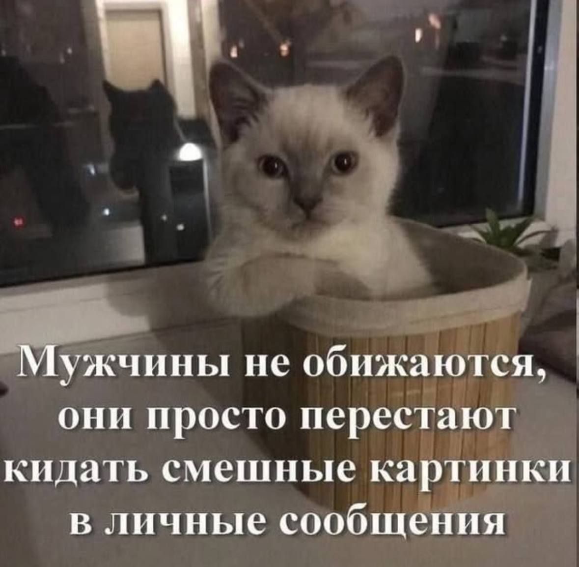 Мужчины не обижаются, они просто перестают кидать смешные картинки в личные сообщения