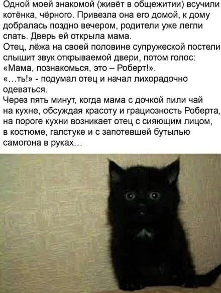 Одной моей знакомой (живёт в общежитии) всучили котёнка, чёрного. Привезла она его домой, к дому добралась поздно вечером, родители уже легли спать. Дверь ей открыла мама.
Отец, лёжа на своей половине супружеской постели слышит звук открываемой двери, потом голос:
«Мама, познакомься, это – Роберт!».
«…ть!» - подумал отец и начал лихорадочно одевать