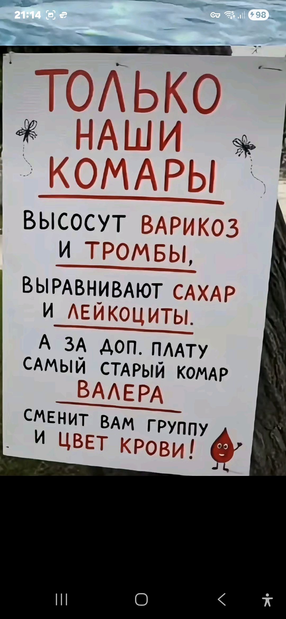 ТОЛЬКО НАШИ КОМАРЫ ВЫСОСУТ ВАРИКОЗ И ТРОМБЫ, ВЫРАВНИВАЮТ САХАР И ЛЕЙКОЦИТЫ. А ЗА ДОП. ПЛАТУ САМЫЙ СТАРЫЙ КОМАР ВАЛЕРА СМЕНИТ ВАМ ГРУППУ И ЦВЕТ КРОВИ!