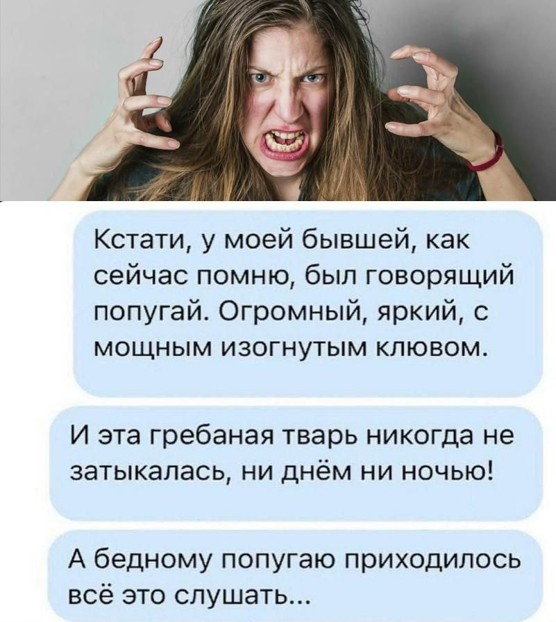 Кстати, у моей бывшей, как сейчас помню, был говорящий попугай. Огромный, яркий, с мощным изогнутым клювом. И эта гребаная тварь никогда не затыкалась, ни днём ни ночью! А бедному попугаю приходилось всё это слушать...