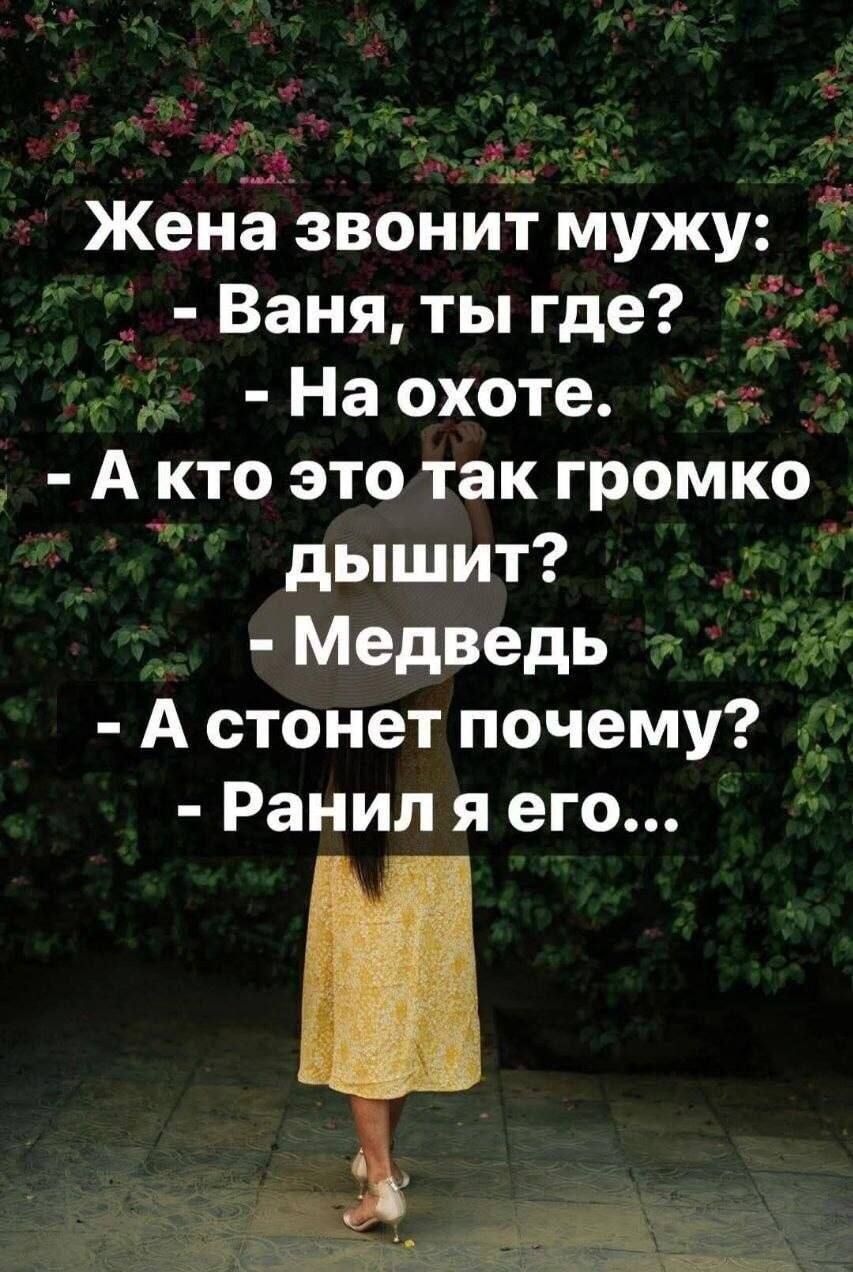Жена звонит мужу: - Ваня, ты где? - На охоте. - А кто это так громко дышит? - Медведь - А стонет почему? - Ранил я его...