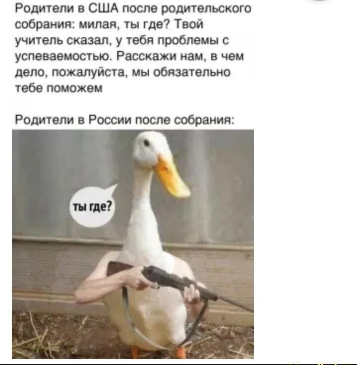Родители в США после родительского собрания: милая, ты где? Твой учитель сказал, у тебя проблемы с успеваемостью. Расскажи нам, в чем дело, пожалуйста, мы обязательно тебе поможем. Родители в России после собрания: Ты где?