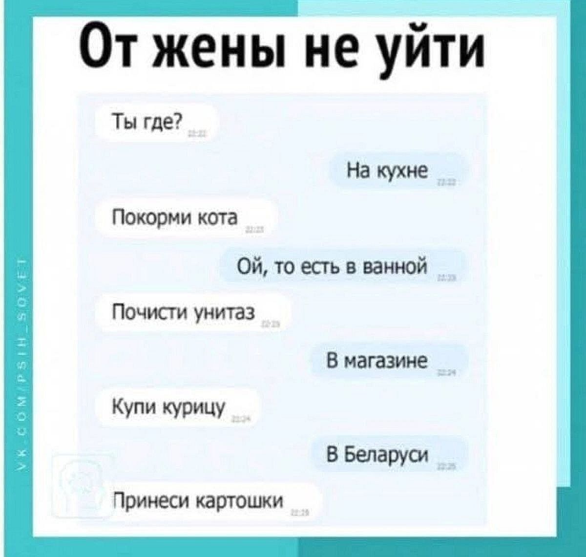 От жены не уйти. Ты где? На кухне. Покорми кота. Ой, то есть в ванной. Почисти унитаз. В магазине. Купи курицу. В Беларуси. Принеси картошки.