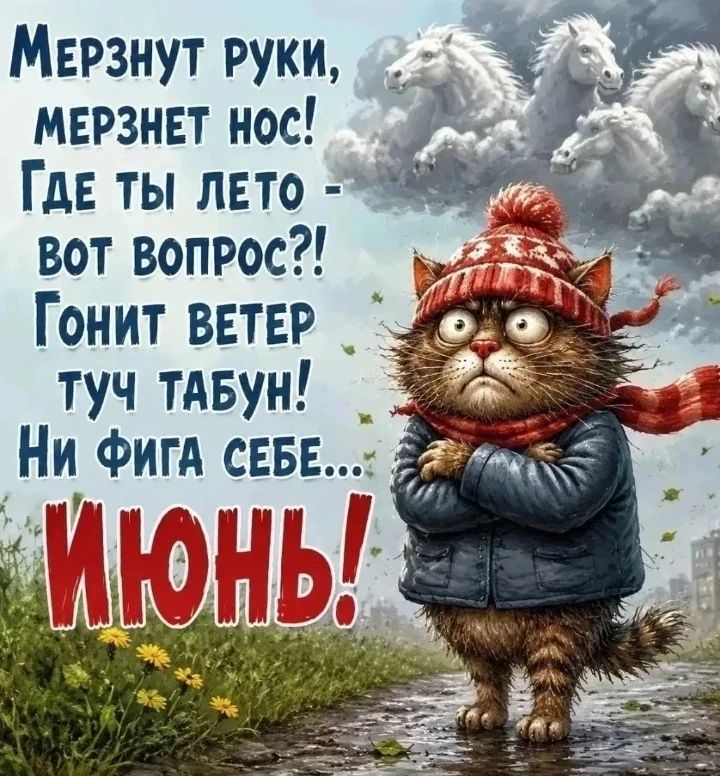 МЕРЗНУТ РУКИ, МЕРЗНЕТ НОС! ГДЕ ТЫ ЛЕТО - ВОТ ВОПРОС?! ГОНИТ ВЕТЕР ТУЧ ТАБУН! НИ ФИГА СЕБЕ... ИЮНЬ!
