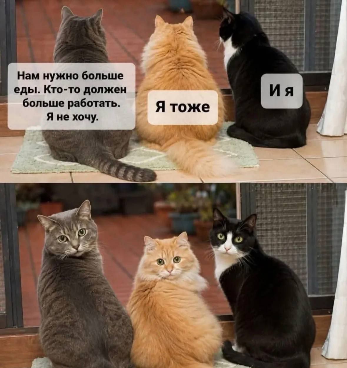 Нам нужно больше еды. Кто-то должен больше работать. Я не хочу. Я тоже. И я.