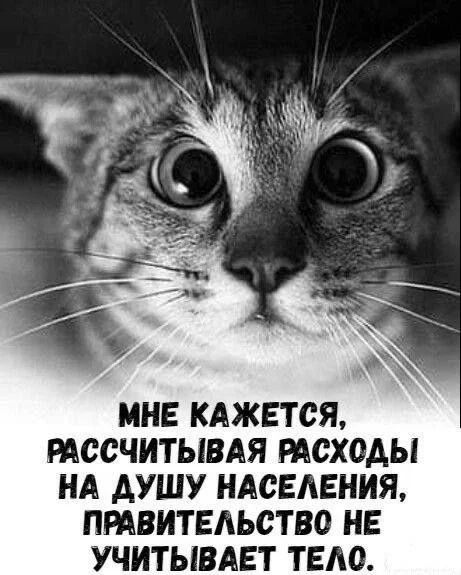 МНЕ КАЖЕТСЯ, РАССЧИТЫВАЯ РАСХОДЫ НА ДУШУ НАСЕЛЕНИЯ, ПРАВИТЕЛЬСТВО НЕ УЧИТЫВАЕТ ТЕЛО.