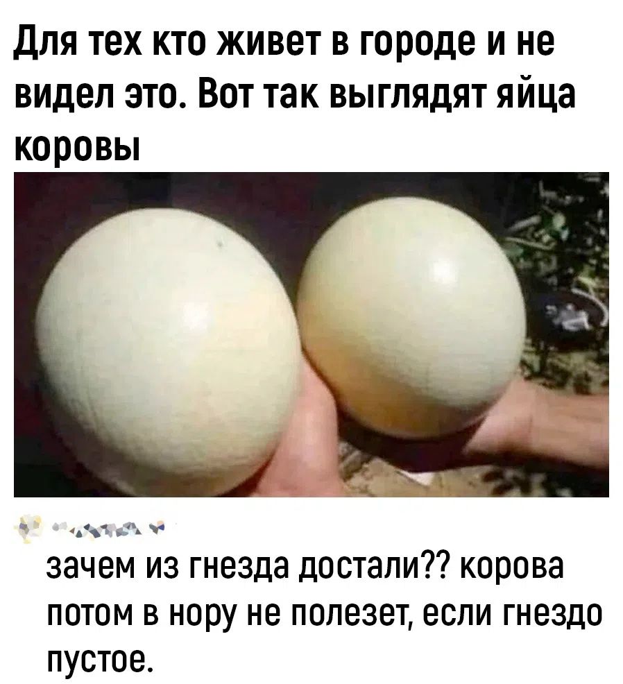 Для тех кто живет в городе и не видел это. Вот так выглядят яйца коровы зачем из гнезда достали?? корова потом в нору не полезет, если гнездо пустое.