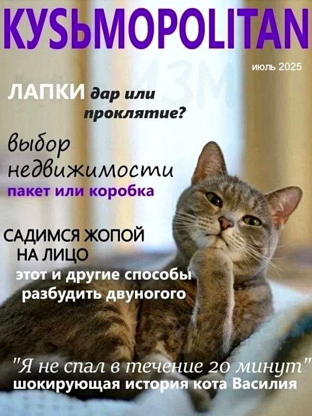 КУSЬМОPOLITAN июль 2025 ЛАПКИ дар или проклятие? выбор недвижимости пакет или коробка САДИМСЯ ЖОПОЙ НА ЛИЦО этот и другие способы разбудить двуногого 