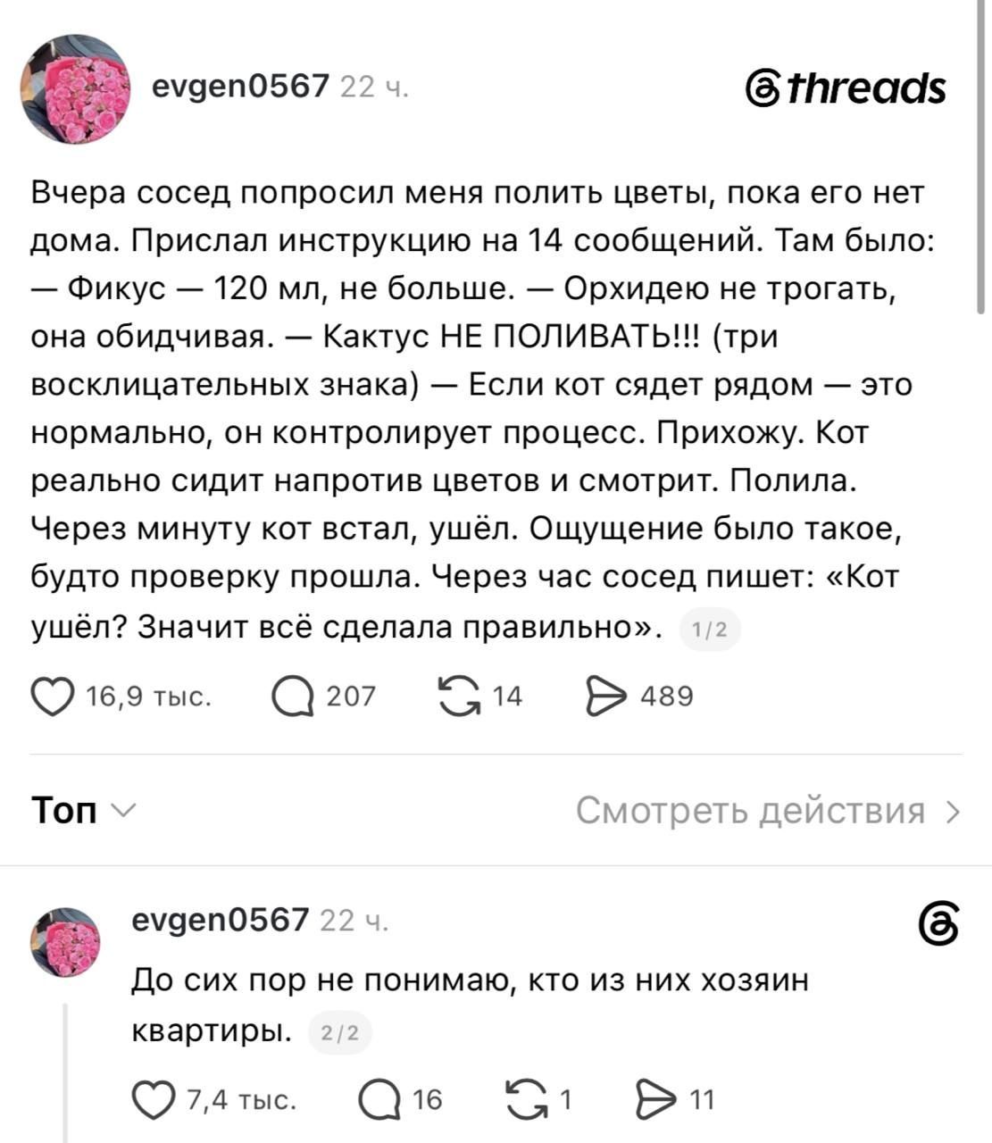 Вчера сосед попросил меня полить цветы, пока его нет дома. Прислал инструкцию на 14 сообщений. Там было: — Фикус — 120 мл, не больше. — Орхидею не трогать, она обидчивая. — Кактус НЕ ПОЛИВАТЬ!!! (три восклицательных знака) — Если кот сядет рядом — это нормально, он контролирует процесс. Прихожу. Кот реально сидит напротив цветов и смотрит. Полила. 
