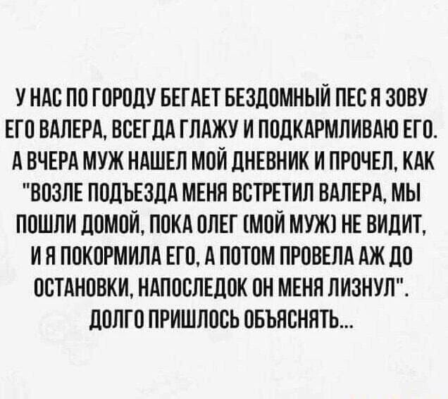 У нас по городу бегает бездомный пес. Я зову его Валера, всегда глажу и подкармливаю его. А вчера муж нашел мой дневник и прочел, как 