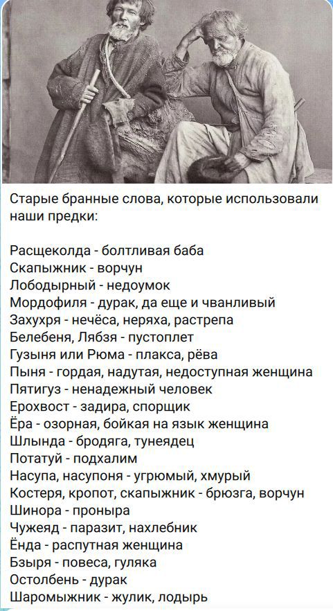 Старые бранные слова, которые использовали наши предки:
Расщеколда - болтливая баба
Скапыжник - ворчун
Лободырный - недоумок
Мордофиля - дурак, да еще и чванливый
Захухря - нечёса, неряха, растрепа
Белебеня, Лябзя - пустоплет
Гузыня или Рюма - плакса, рёва
Пыня - гордая, надутая, недоступная женщина
Пятигуз - ненадежный человек
Ерохвост - задира, с
