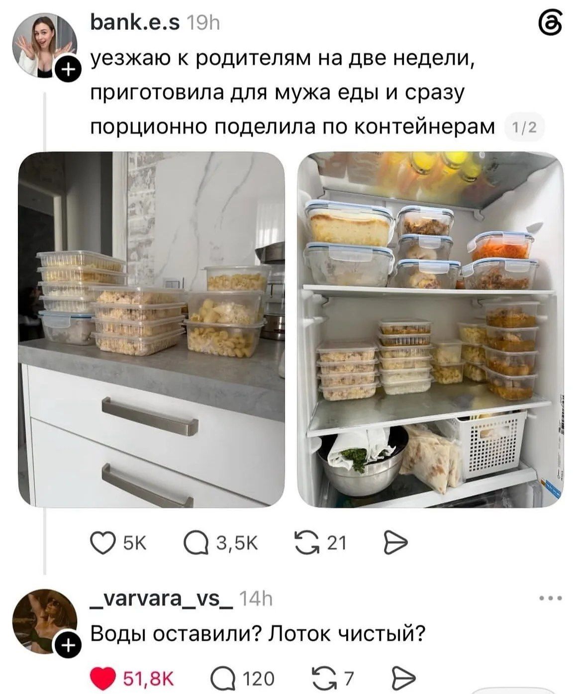 уезжаю к родителям на две недели, приготовила для мужа еды и сразу порционно поделила по контейнерам. Воды оставили? Лоток чистый?