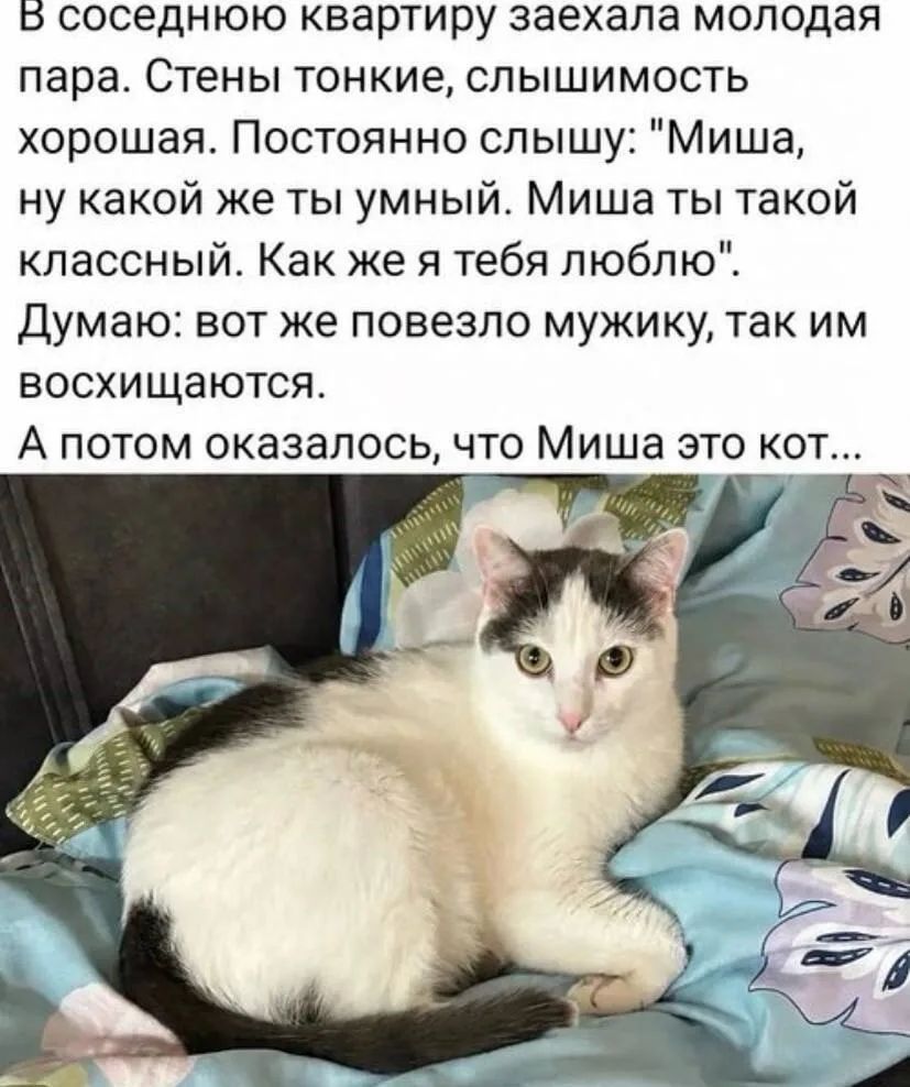 В соседнюю квартиру заехала молодая пара. Стены тонкие, слышимость хорошая. Постоянно слышу: 