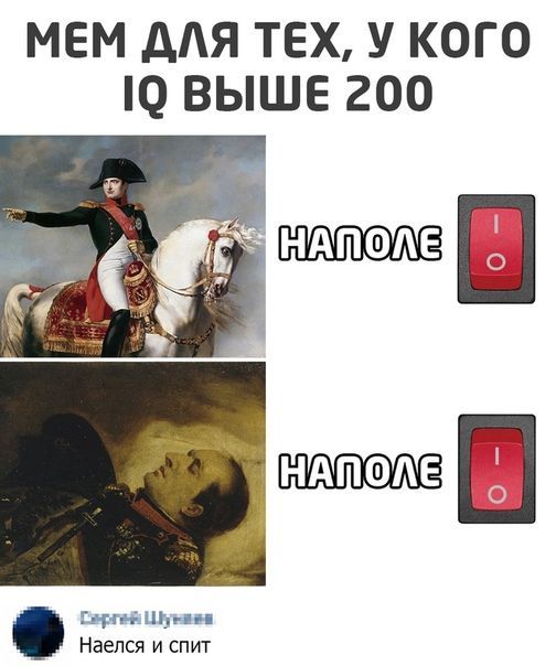 МЕМ ДЛЯ ТЕХ, У КОГО IQ ВЫШЕ 200 НАПОЛЕ НАПОЛЕ Сергей Шунин Наелся и спит