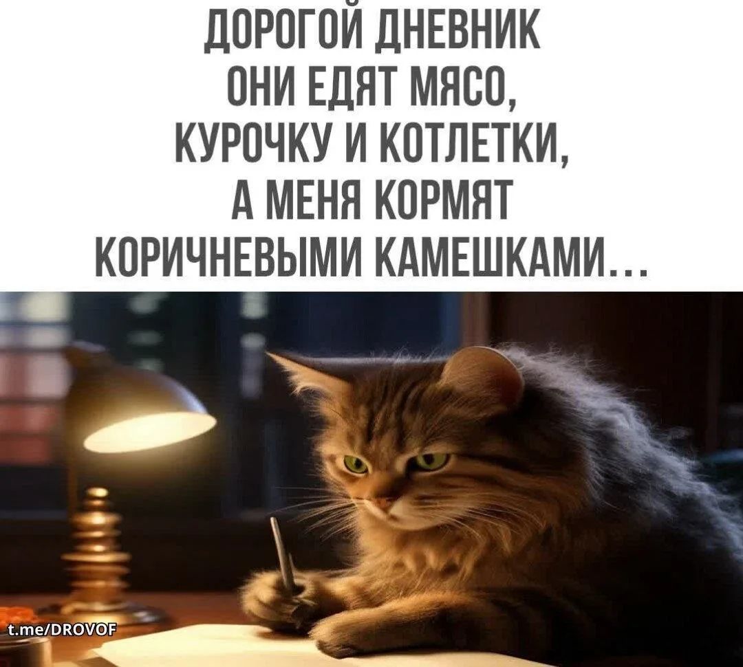 ДОРОГОЙ ДНЕВНИК ОНИ ЕДЯТ МЯСО, КУРОЧКУ И КОТЛЕТКИ, А МЕНЯ КОРМЯТ КОРИЧНЕВЫМИ КАМЕШКАМИ...