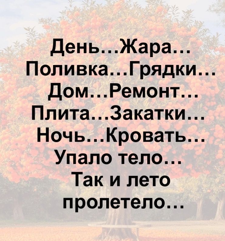 День...Жара... Поливка...Грядки... Дом...Ремонт... Плита...Закатки... Ночь...Кровать... Упало тело... Так и лето пролетело...