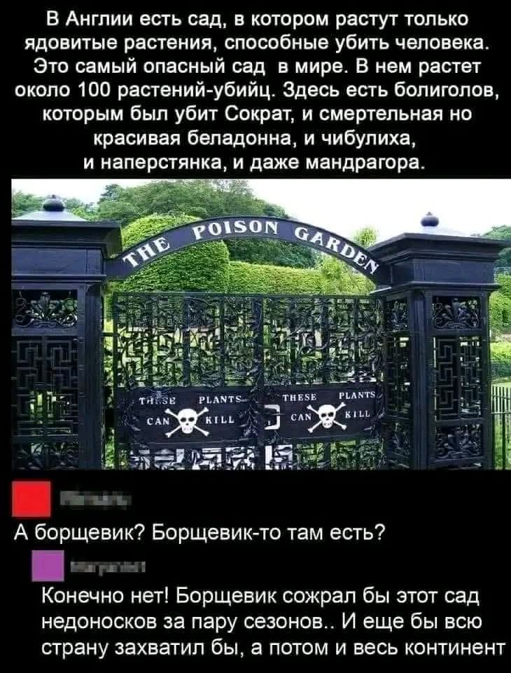 В Англии есть сад, в котором растут только ядовитые растения, способные убить человека. Это самый опасный сад в мире. В нем растет около 100 растений-убийц. Здесь есть болиголов, которым был убит Сократ, и смертельная но красивая беладонна, и чибулиха, и наперстянка, и даже мандрагора. THE POISON GARDEN. THESE PLANTS CAN KILL. А борщевик? Борщевик-