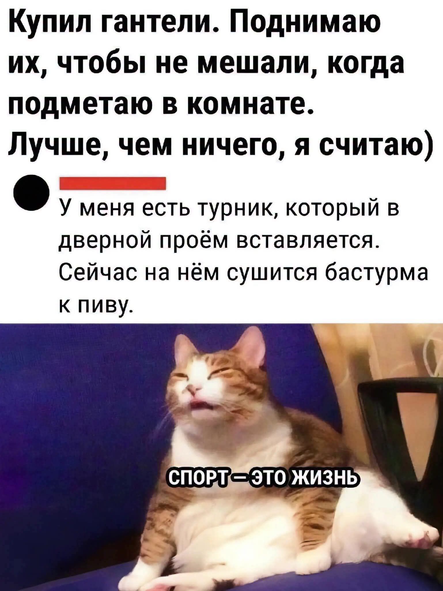 Купил гантели. Поднимаю их, чтобы не мешали, когда подметаю в комнате. Лучше, чем ничего, я считаю) У меня есть турник, который в дверной проём вставляется. Сейчас на нём сушится бастурма к пиву. СПОРТ – ЭТО ЖИЗНЬ