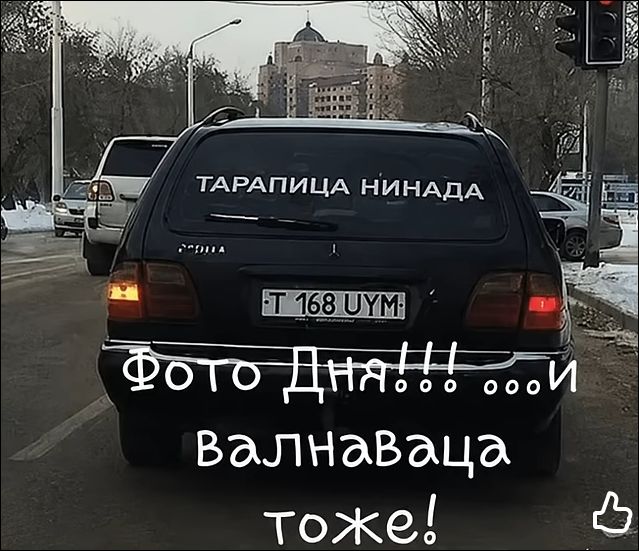 ТАРАПИЦА НИНАДА Фото Дня!!! ... И валнаваца тоже!