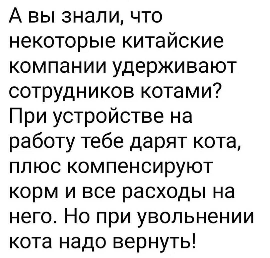 А вы знали, что некоторые китайские компании удерживают сотрудников котами? При устройстве на работу тебе дарят кота, плюс компенсируют корм и все расходы на него. Но при увольнении кота надо вернуть!