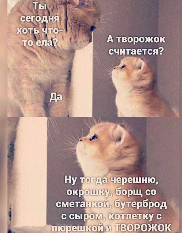 Ты сегодня хоть что-то ела? Да. А творожок считается? Ну тогда черешню, окрошку, борщ со сметанкой, бутерброд с сыром, котлетку с пюрешкой и ТВОРОЖОК
