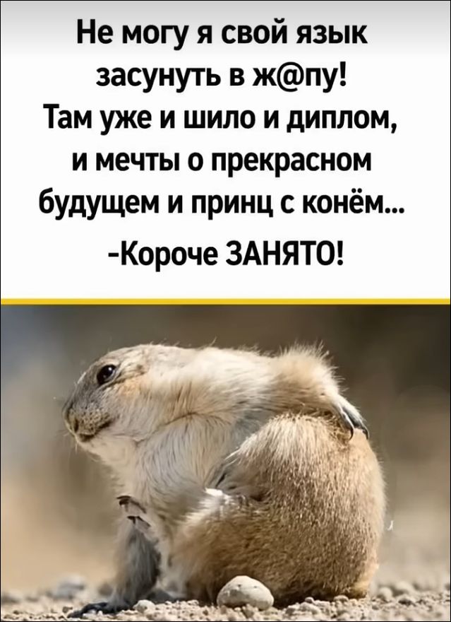 Не могу я свой язык засунуть в ж@пу! Там уже и шило и диплом, и мечты о прекрасном будущем и принц с конём... -Короче ЗАНЯТО!