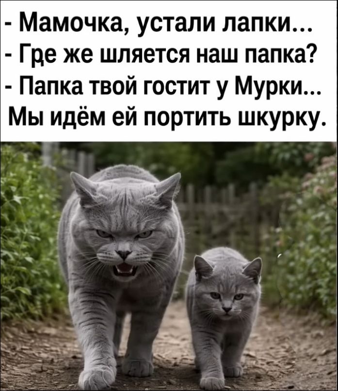 Мамочка, устали лапки... Где же шляется наш папка? Папка твой гостит у Мурки... Мы идём ей портить шкурку.