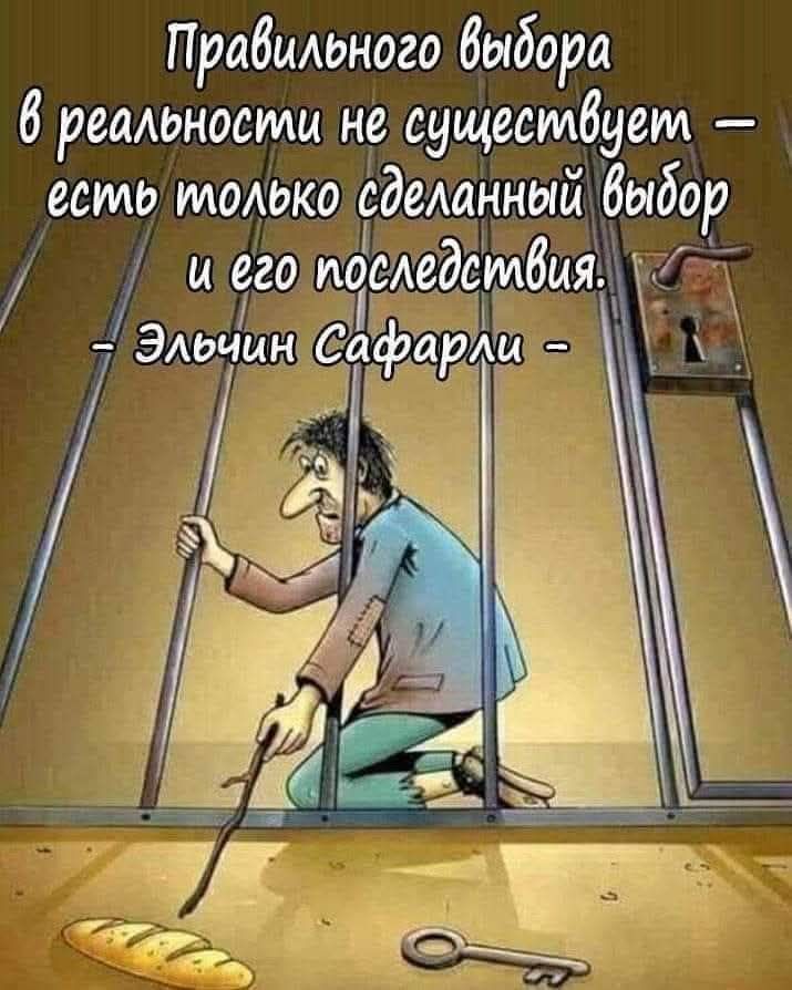 Правильного выбора в реальности не существует — есть только сделанный выбор и его последствия. – Эльчин Сафарли –