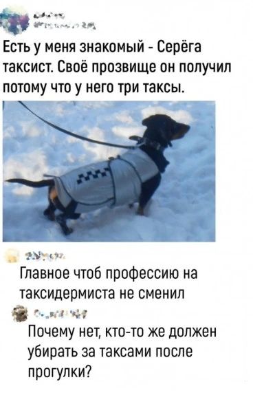 Есть у меня знакомый - Серёга таксист. Своё прозвище он получил потому что у него три таксы. Главное чтоб профессию на таксидермиста не сменил. Почему нет, кто-то же должен убирать за таксами после прогулки?
